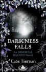 Image for Darkness Falls (Immortal Beloved Book Two)