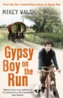 Image for Gypsy Boy on the Run