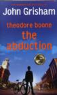 Image for Theodore Boone : The Abduction