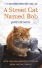 Image for A Street Cat Named Bob