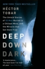 Image for Deep down dark  : the untold stories of 33 men buried in a Chilean mine, and the miracle that set them free