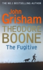 Image for Theodore Boone: The Fugitive