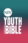 Image for NIV Youth Bible Hardback