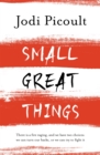 Image for Small Great Things : &#39;To Kill a Mockingbird for the 21st Century&#39;