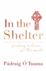 Image for In the shelter  : finding a home in the world