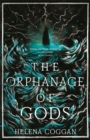 Image for The orphanage of gods