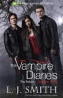 Image for The Vampire Diaries: Shadow Souls