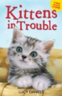 Image for Kittens in Trouble (Kittens in the Kitchen &amp; Kitten in the Cold)
