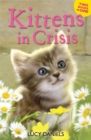 Image for Animal Ark: Kittens in Crisis