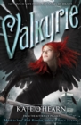 Image for Valkyrie : Book 1