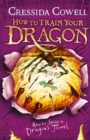 Image for How to Train Your Dragon: How to Seize a Dragon&#39;s Jewel