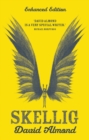 Image for Skellig: the play