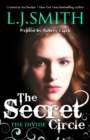 Image for The Secret Circle: The Divide : Book 4