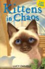 Image for Kittens in Chaos : Siamese in the Sun &amp; Cat in the Candlelight