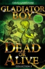Image for Gladiator Boy: Dead or Alive