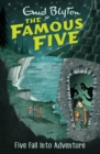 Image for Five fall into adventure