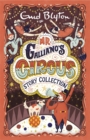Image for Mr Galliano&#39;s circus  : story collection