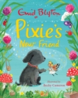 Image for Pixie&#39;s New Friend