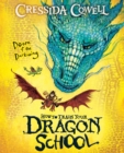 Image for How To Train Your Dragon School: Doom of the Darkwing