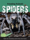 Image for Spiders