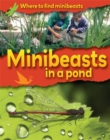 Image for Where to Find Minibeasts: Minibeasts in a Pond