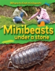 Image for Where to Find Minibeasts: Minibeasts Under a Stone