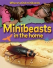 Image for Where to find minibeasts in the home