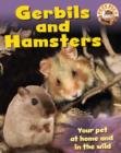 Image for Pets Plus: Gerbils and Hamsters