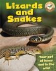 Image for Lizards and snakes