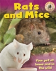 Image for Rats and mice