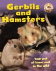 Image for Gerbils and hamsters