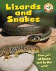 Image for Lizards and snakes