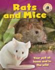 Image for Rats and mice