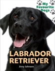 Image for Labrador retriever
