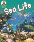 Image for Sea life : 6