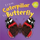 Image for Lifecycles: From Caterpillar to Butterfly