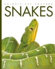 Image for Animals Are Amazing: Snakes