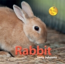 Image for My New Pet: Rabbit