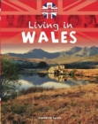 Image for Living in the UK: Wales