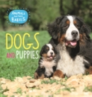 Image for Animals and their Babies: Dogs &amp; puppies