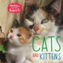 Image for Animals and their Babies: Cats &amp; kittens