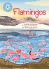 Flamingos - Snashall, Sarah