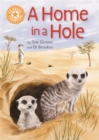 A home in a hole - Graves, Sue