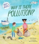Image for Why is there pollution?