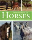 Image for Encyclopedia of horses