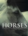 Image for Spirit of Horses