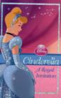 Image for Disney Princess Chapter Book