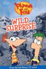 Image for Disney Phineas &amp; Ferb Fiction - Wild Surprise