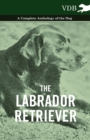 Image for The Labrador Retriever - A Complete Anthology of the Dog
