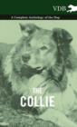 Image for The Collie - A Complete Anthology of the Dog -